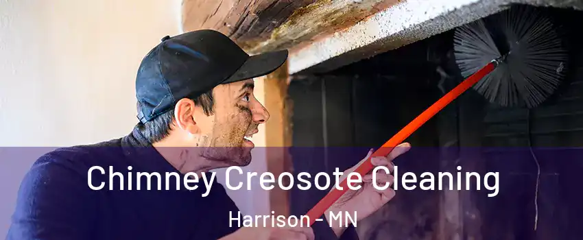 Chimney Creosote Cleaning Harrison - MN