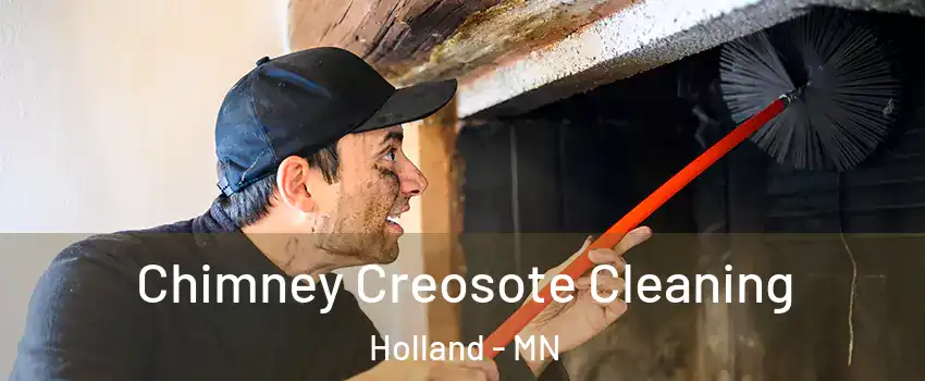 Chimney Creosote Cleaning Holland - MN