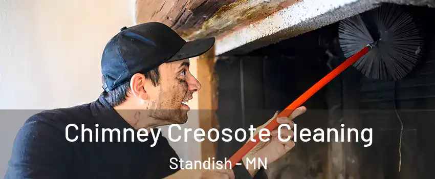 Chimney Creosote Cleaning Standish - MN