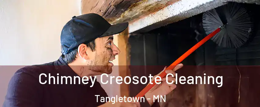 Chimney Creosote Cleaning Tangletown - MN