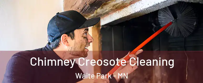 Chimney Creosote Cleaning Waite Park - MN