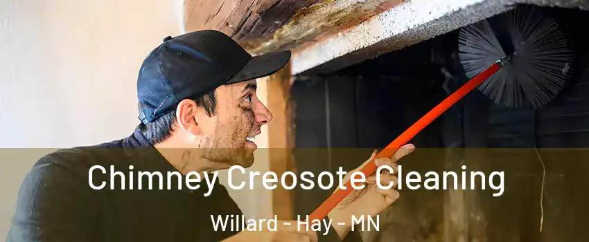 Chimney Creosote Cleaning Willard - Hay - MN