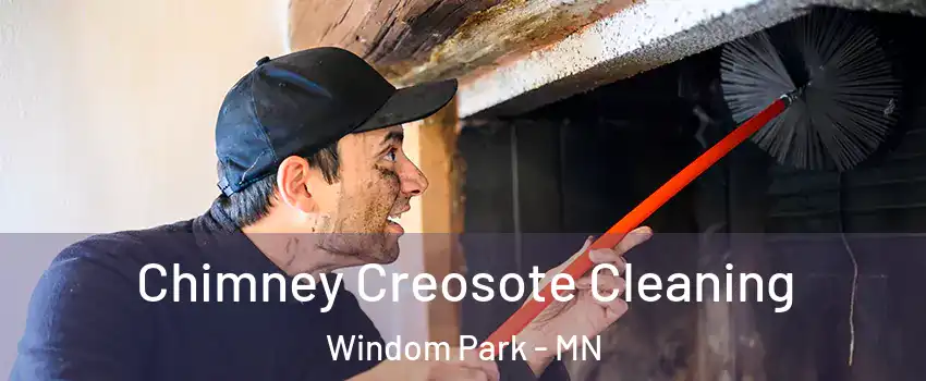 Chimney Creosote Cleaning Windom Park - MN