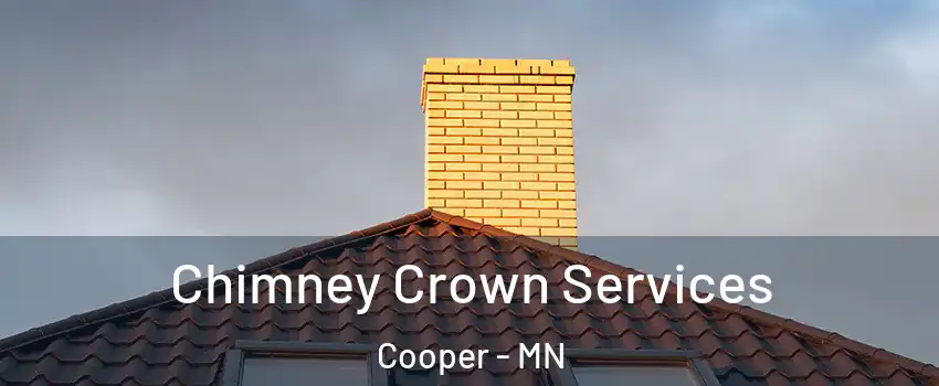 Chimney Crown Services Cooper - MN