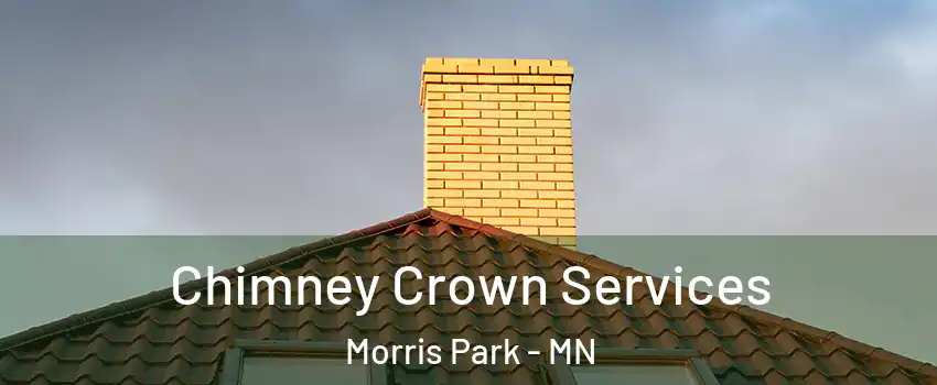 Chimney Crown Services Morris Park - MN