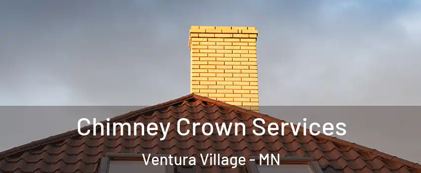 Chimney Crown Services Ventura Village - MN