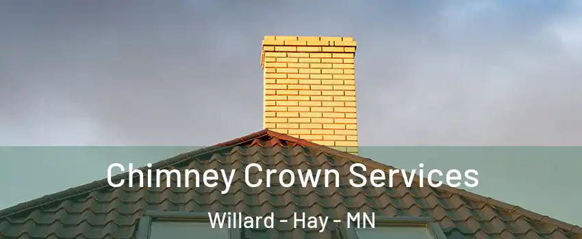 Chimney Crown Services Willard - Hay - MN