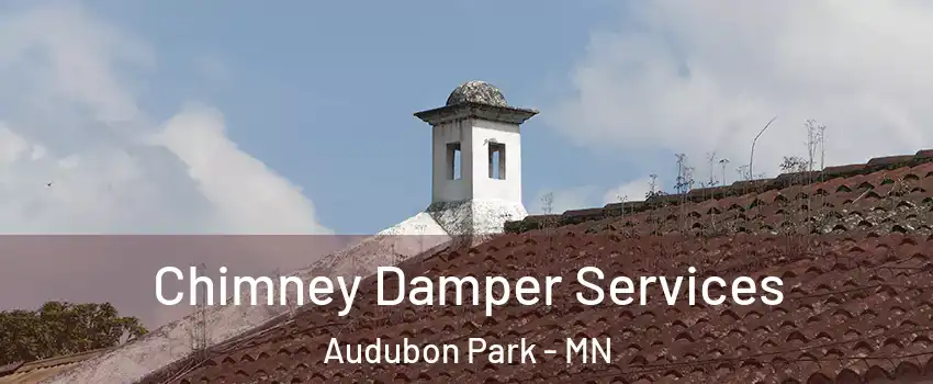 Chimney Damper Services Audubon Park - MN