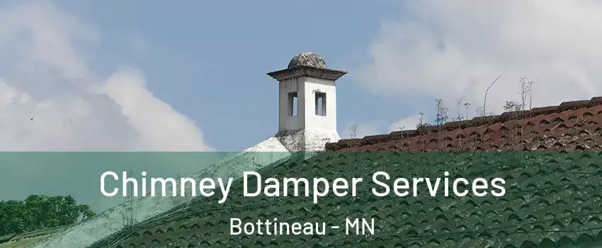 Chimney Damper Services Bottineau - MN