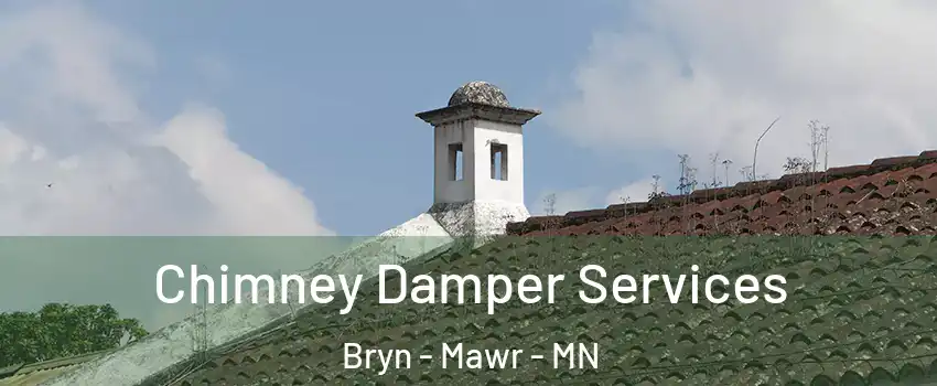 Chimney Damper Services Bryn - Mawr - MN