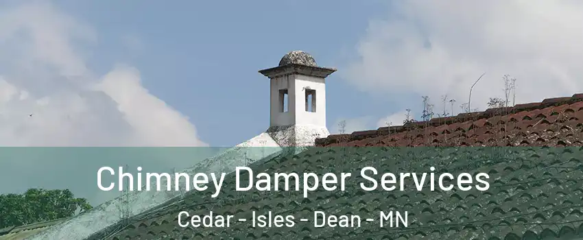 Chimney Damper Services Cedar - Isles - Dean - MN