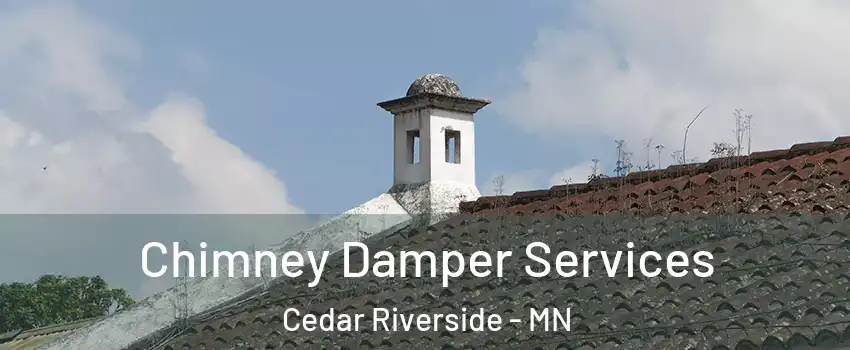 Chimney Damper Services Cedar Riverside - MN
