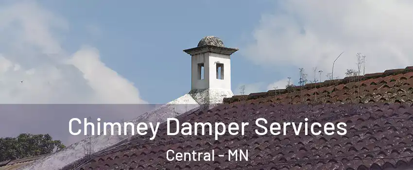 Chimney Damper Services Central - MN