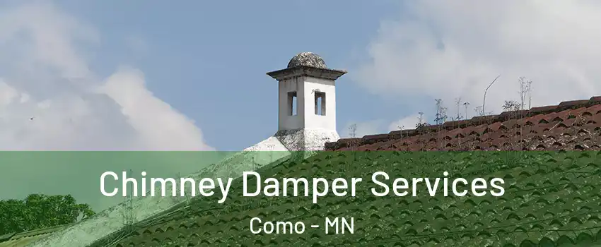 Chimney Damper Services Como - MN