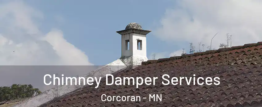 Chimney Damper Services Corcoran - MN