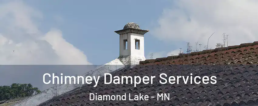 Chimney Damper Services Diamond Lake - MN
