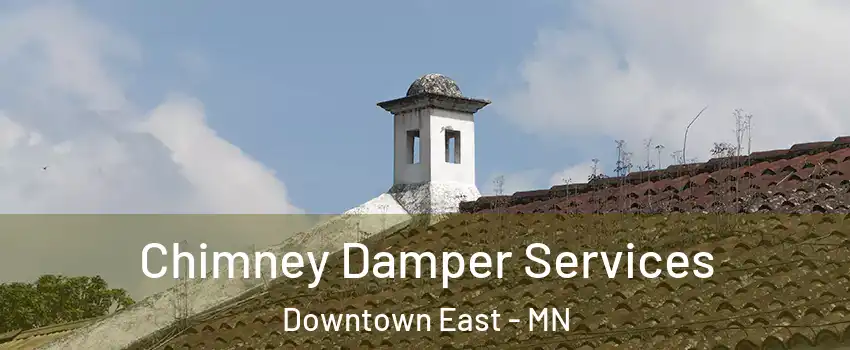 Chimney Damper Services Downtown East - MN