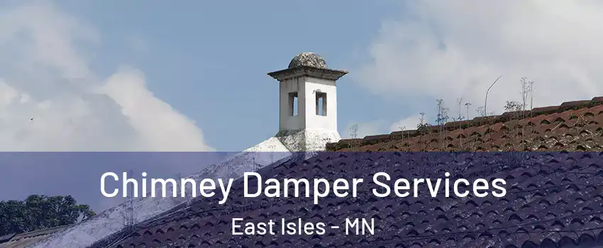 Chimney Damper Services East Isles - MN