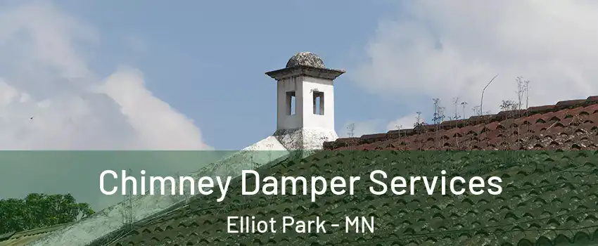 Chimney Damper Services Elliot Park - MN