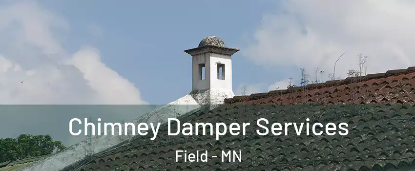 Chimney Damper Services Field - MN