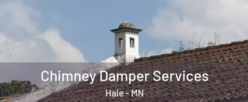 Chimney Damper Services Hale - MN