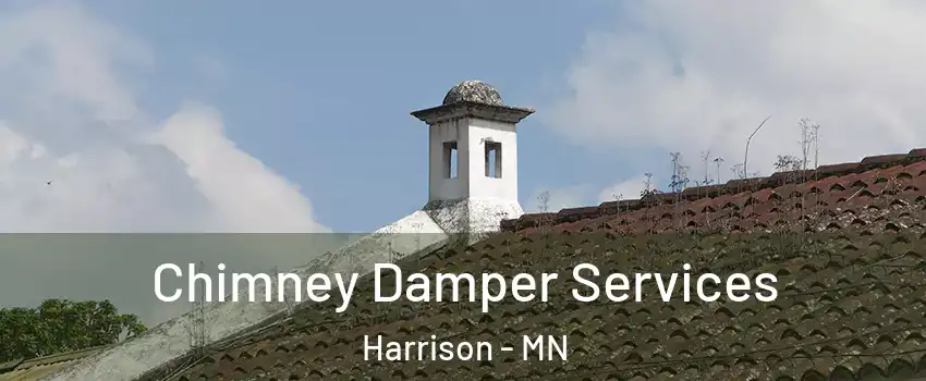 Chimney Damper Services Harrison - MN