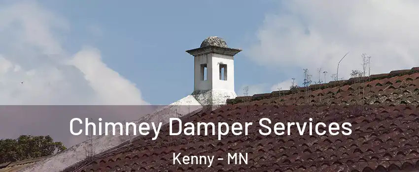 Chimney Damper Services Kenny - MN
