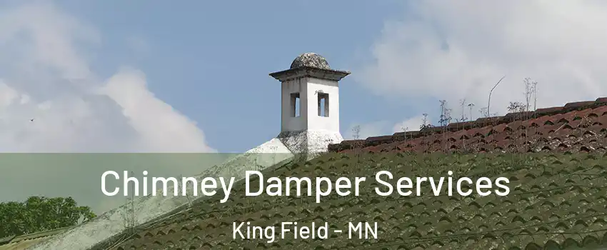 Chimney Damper Services King Field - MN
