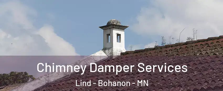 Chimney Damper Services Lind - Bohanon - MN