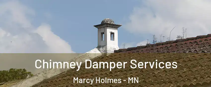 Chimney Damper Services Marcy Holmes - MN