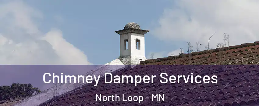 Chimney Damper Services North Loop - MN