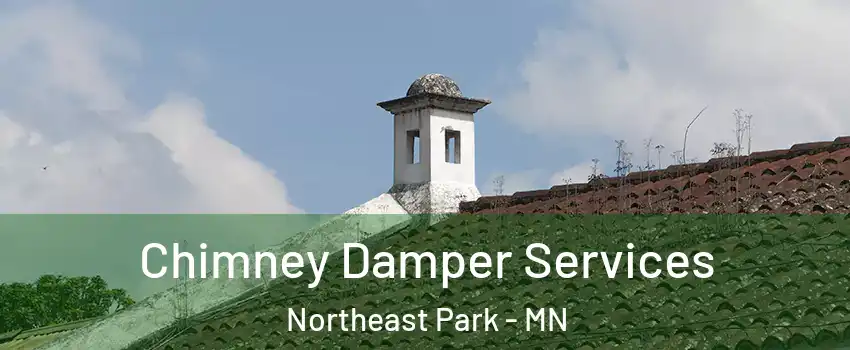 Chimney Damper Services Northeast Park - MN
