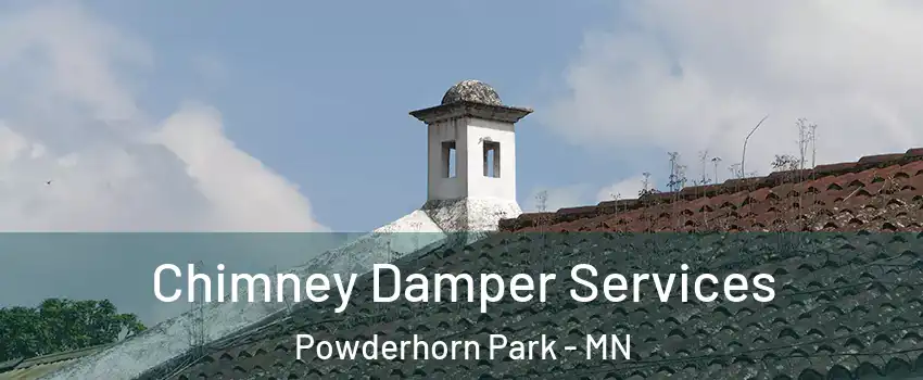 Chimney Damper Services Powderhorn Park - MN