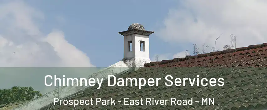 Chimney Damper Services Prospect Park - East River Road - MN