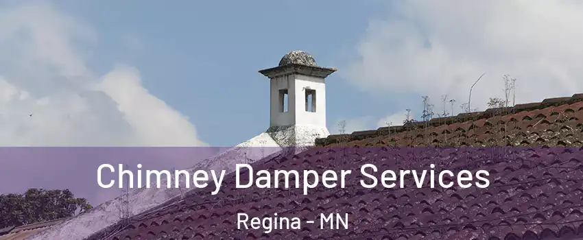 Chimney Damper Services Regina - MN