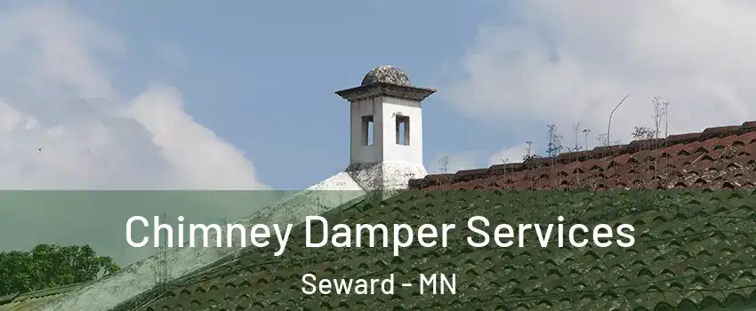 Chimney Damper Services Seward - MN
