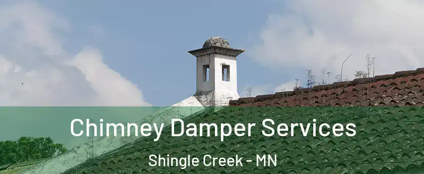 Chimney Damper Services Shingle Creek - MN