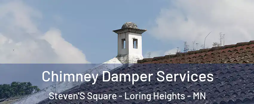 Chimney Damper Services Steven'S Square - Loring Heights - MN