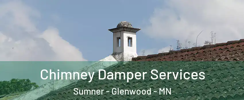 Chimney Damper Services Sumner - Glenwood - MN