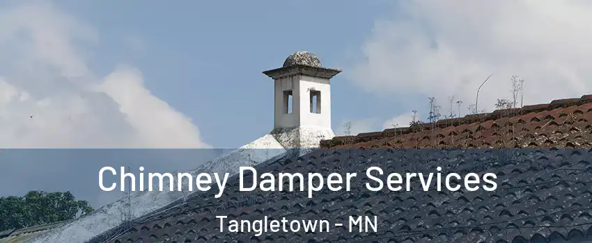 Chimney Damper Services Tangletown - MN