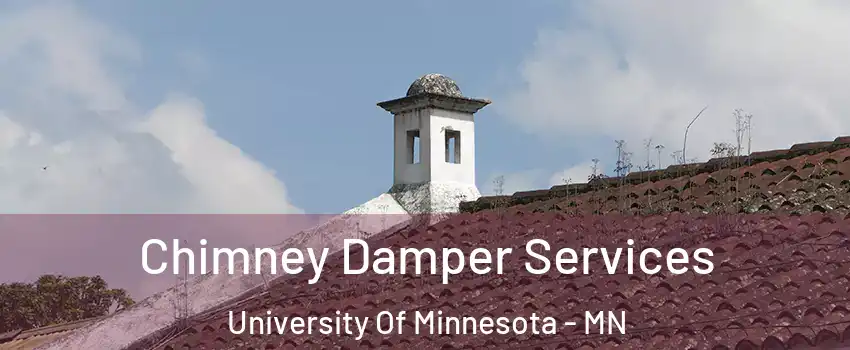 Chimney Damper Services University Of Minnesota - MN