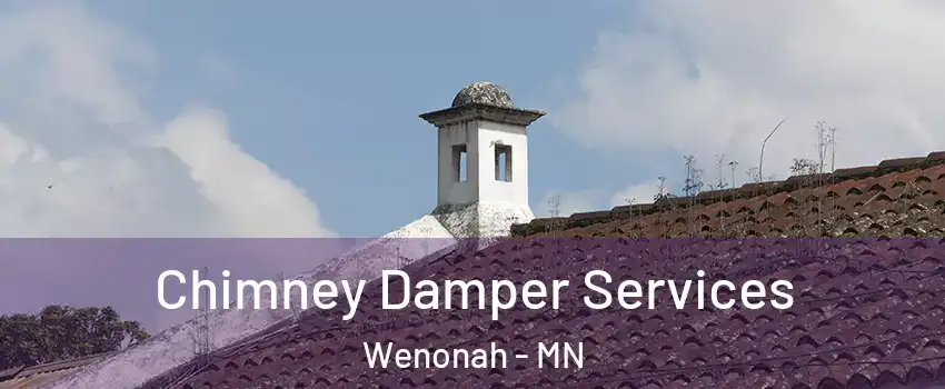 Chimney Damper Services Wenonah - MN