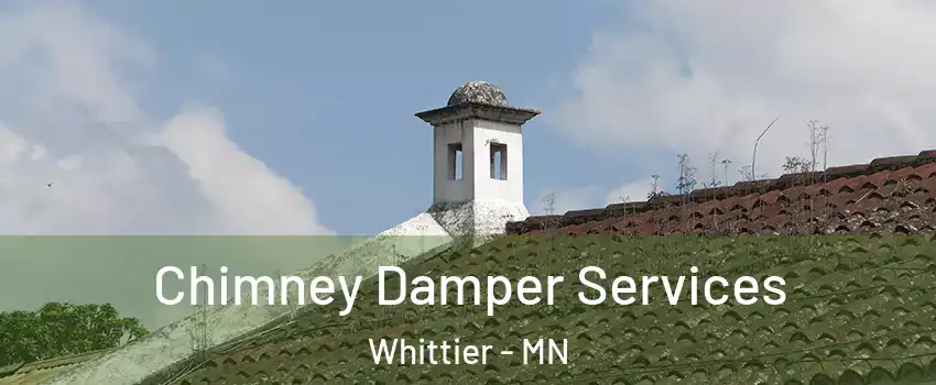 Chimney Damper Services Whittier - MN