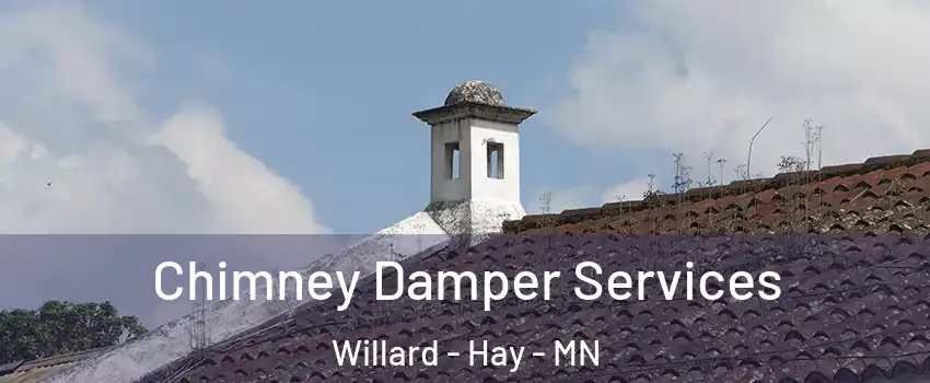 Chimney Damper Services Willard - Hay - MN
