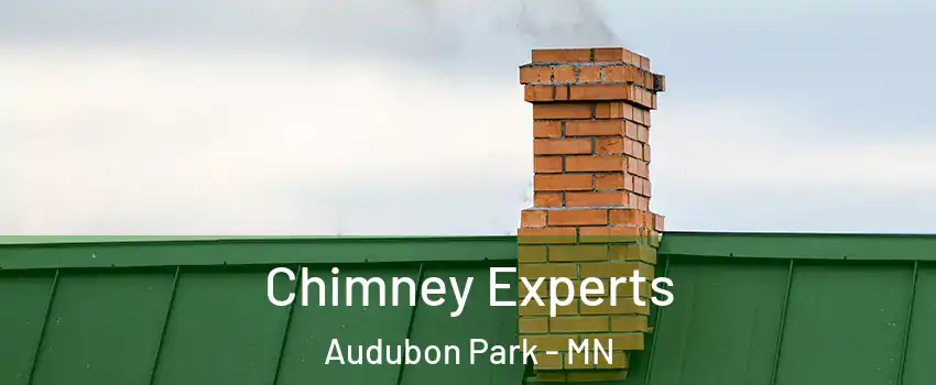 Chimney Experts Audubon Park - MN