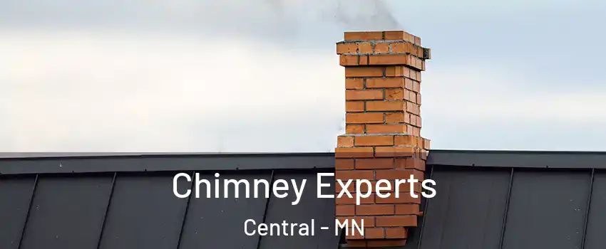 Chimney Experts Central - MN