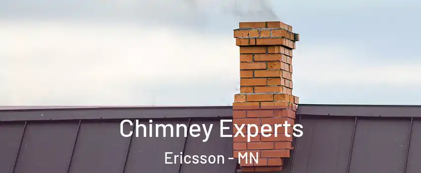Chimney Experts Ericsson - MN