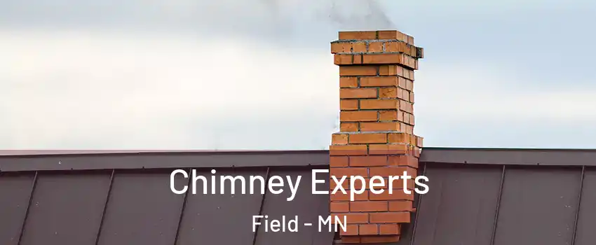Chimney Experts Field - MN