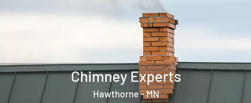 Chimney Experts Hawthorne - MN