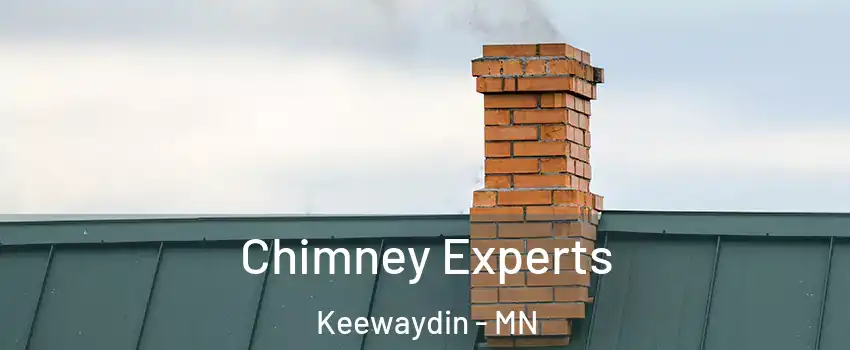 Chimney Experts Keewaydin - MN